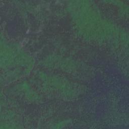 十万大山卫星地图图片